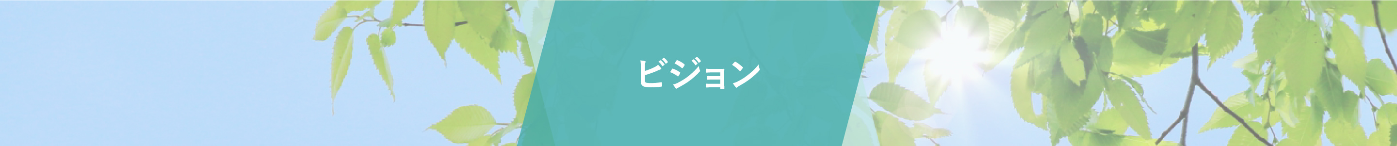ビジョン